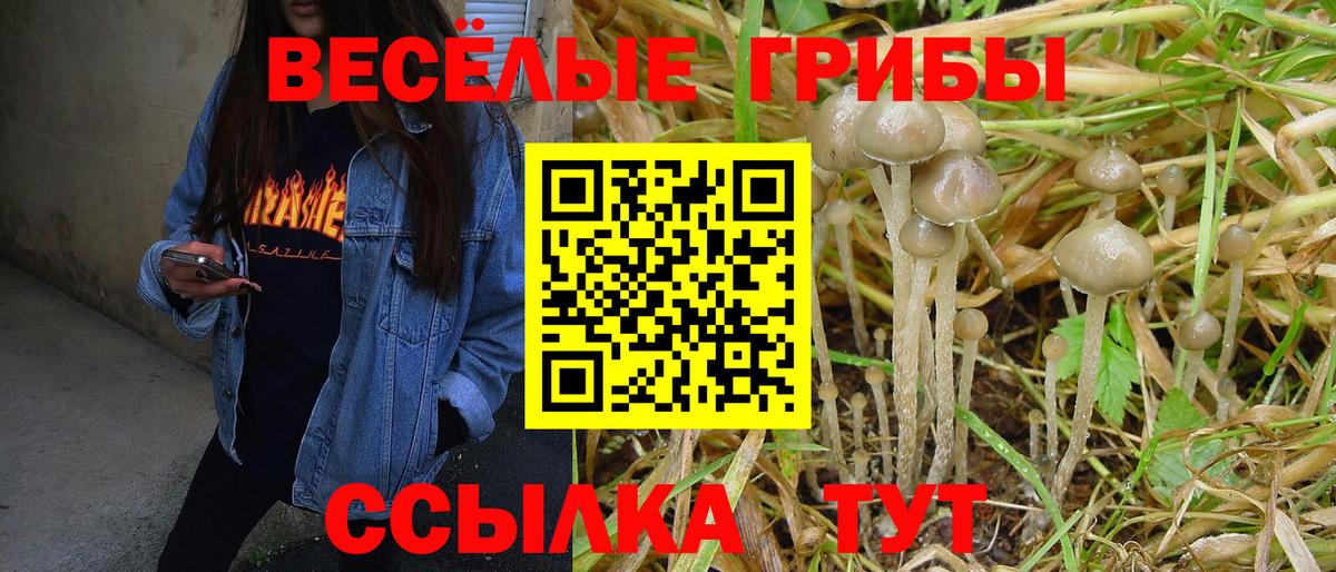 Псилоцибиновые грибы ЛСД Аргун
